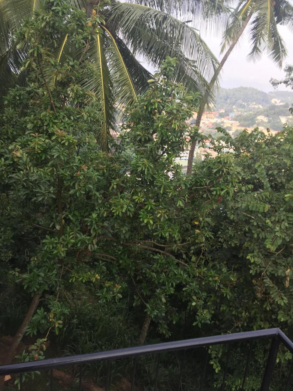 Upland Inn Kandy Dış mekan fotoğraf